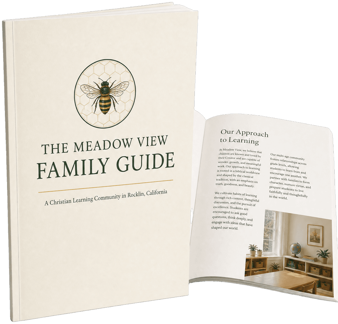 The Meadow View Learning Family Guide