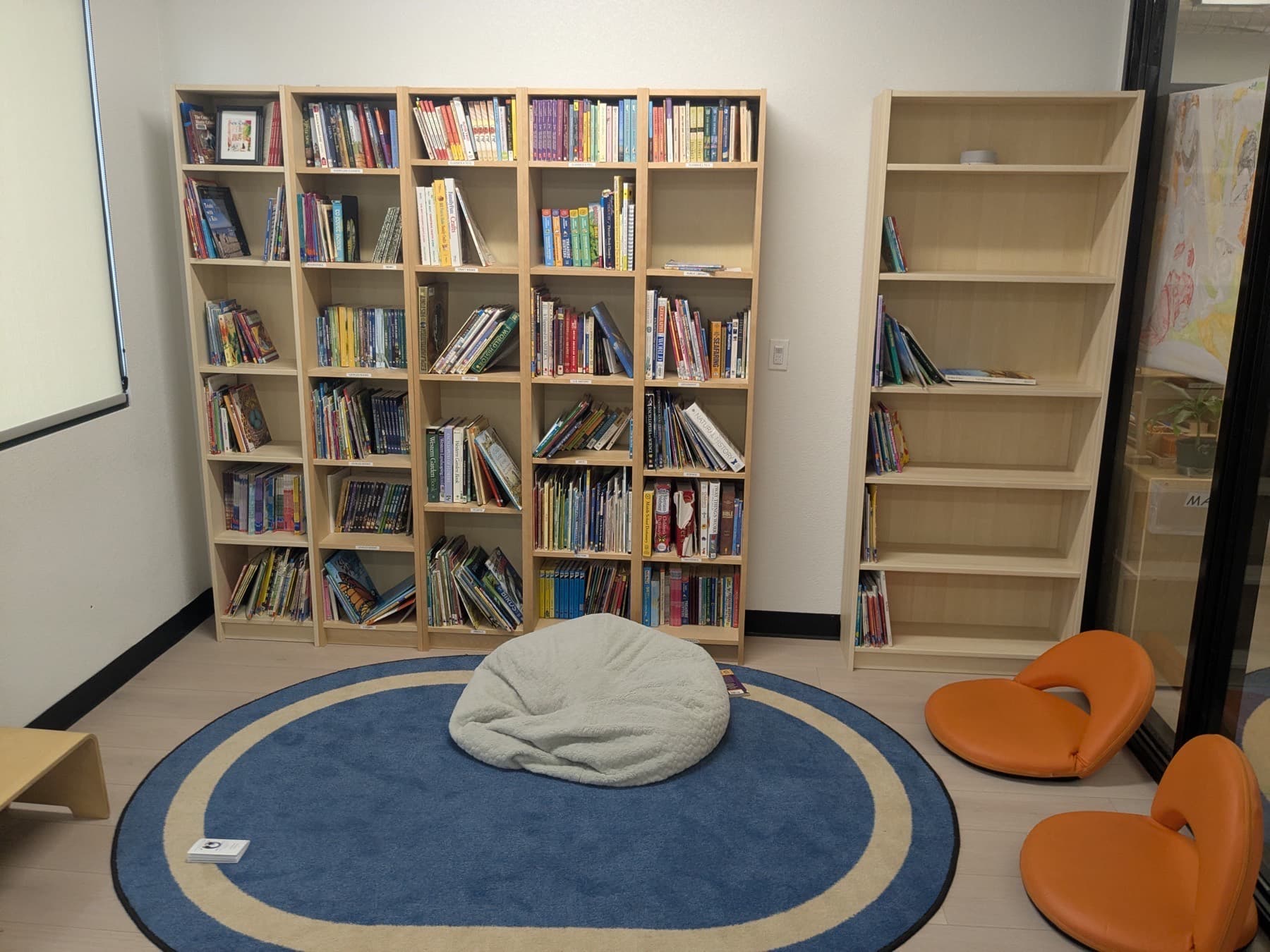 The Meadow View reading corner — full bookshelves around a round blue rug with a beanbag and low floor chairs